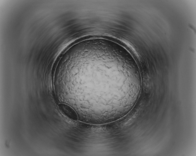 X0000091590887200708271241