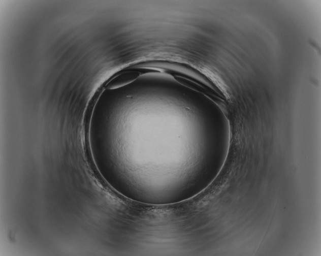 X0000091590888200708271241