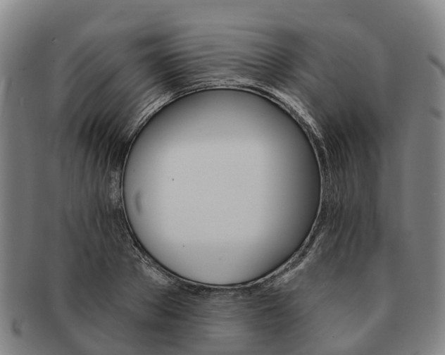 X0000091590889200708271241