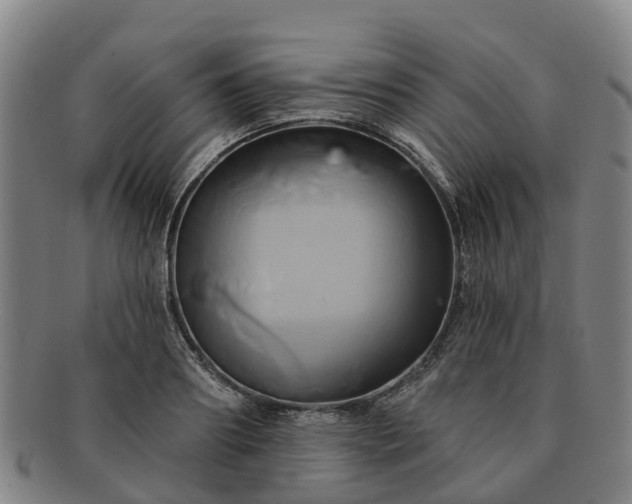 X0000091590890200708271241