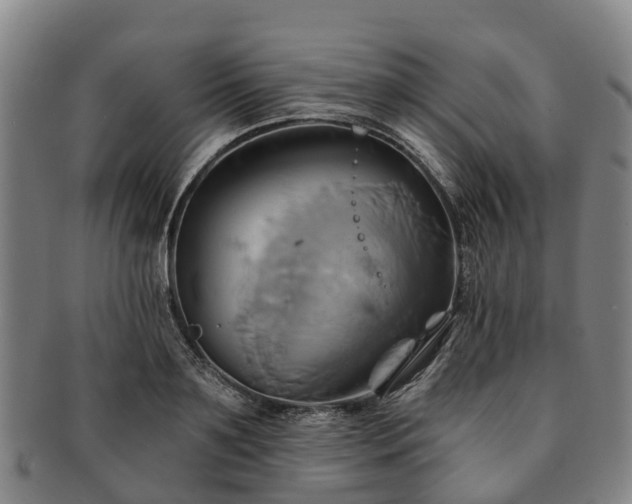 X0000091590891200708271241