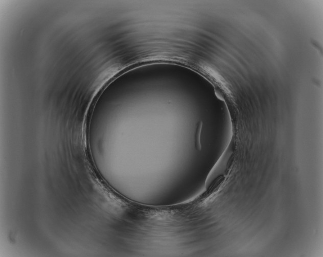 X0000091590892200708271241