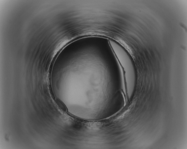 X0000091590893200708271241