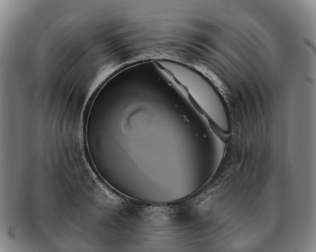X0000091590894200708271241