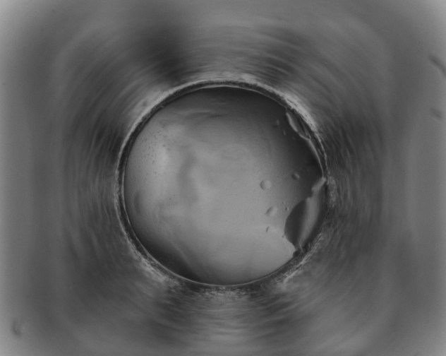 X0000091590895200708271241