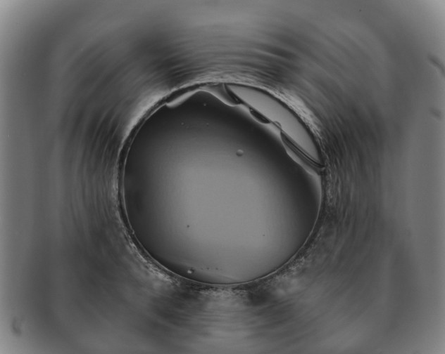 X0000091590896200708271241