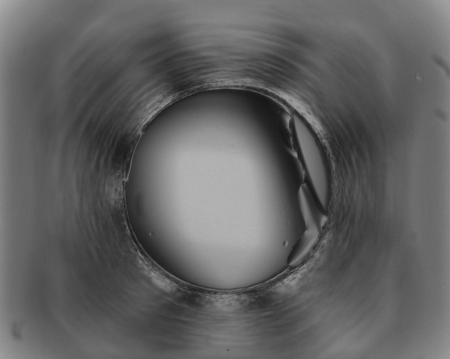 X0000091590897200708271241