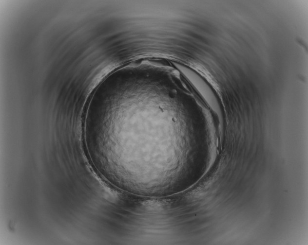X0000091590898200708271241
