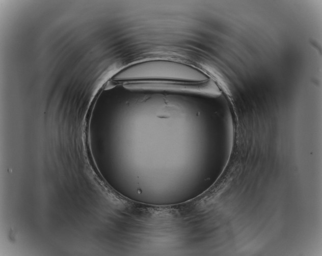 X0000091590899200708271240