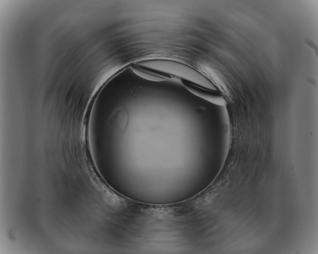 X0000091590900200708271240