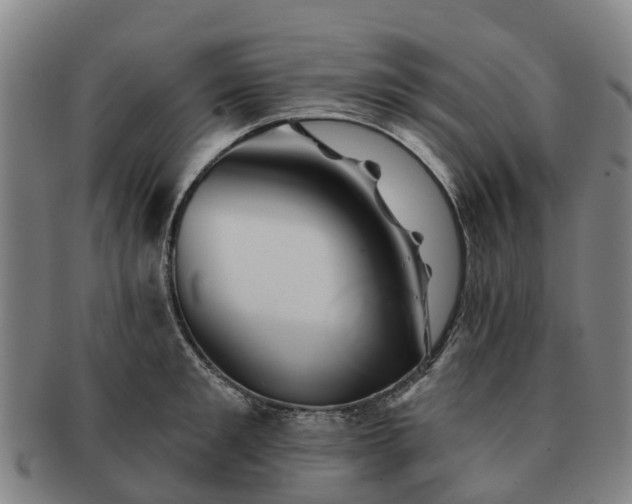 X0000091590901200708271240