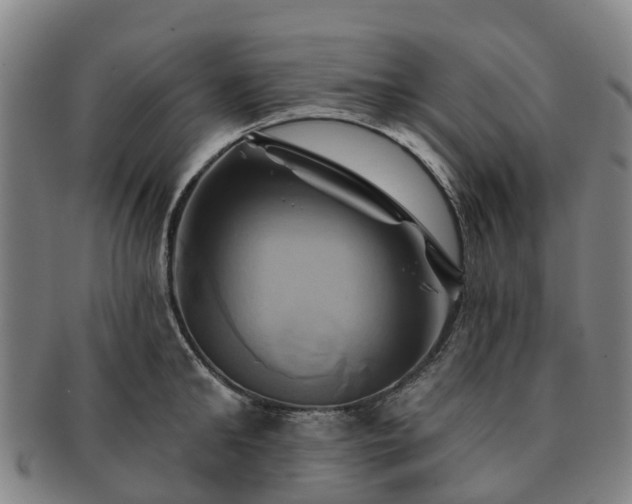 X0000091590902200708271240
