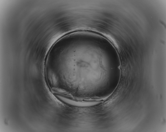 X0000091590903200708271240