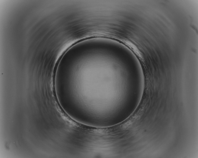 X0000091590904200708271240