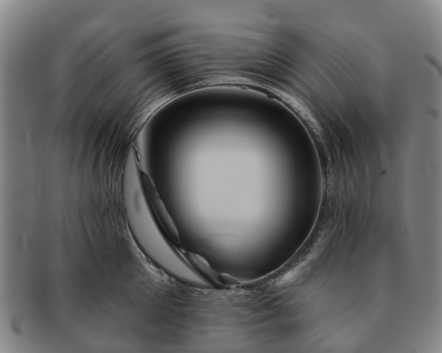 X0000091590905200708271240