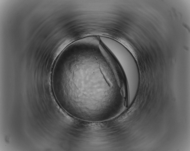 X0000091590906200708271240