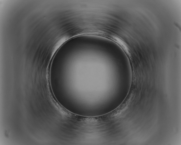 X0000091590907200708271240