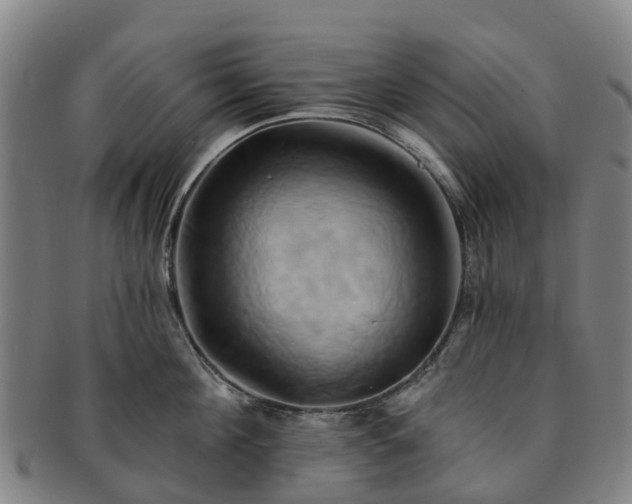 X0000091590908200708271240