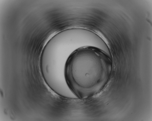 X0000091590909200708271240