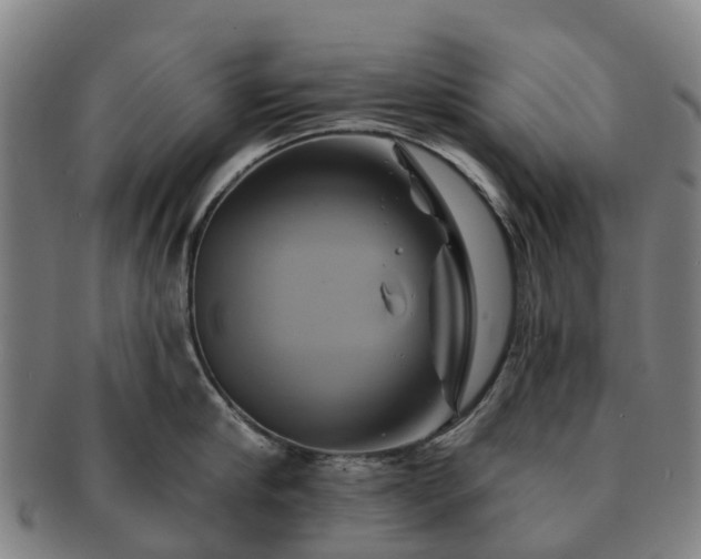 X0000091590910200708271240