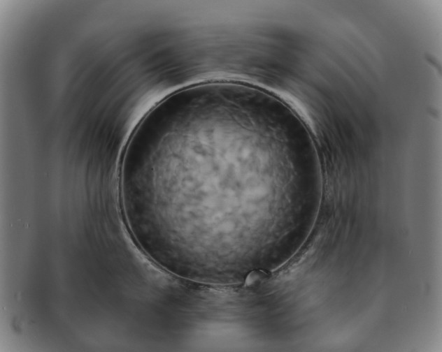 X0000091590911200708271240