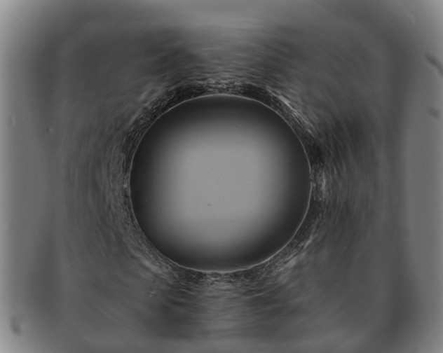 X0000091590913200708271240