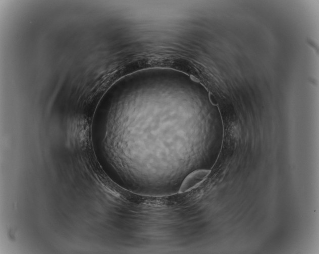 X0000091590914200708271240