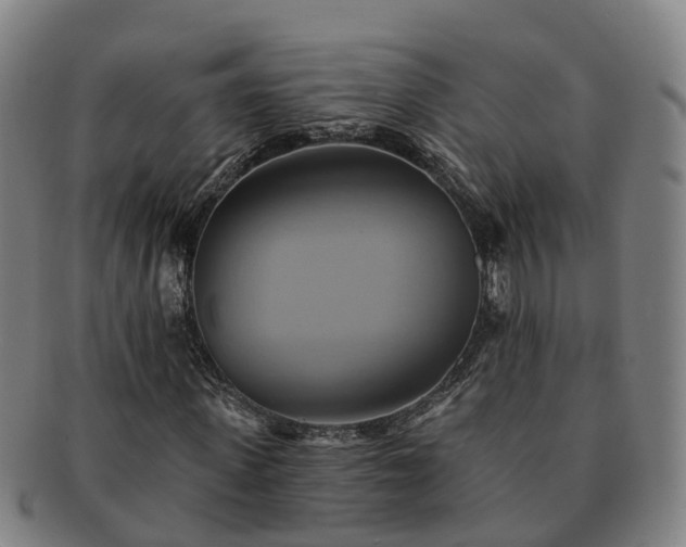 X0000091590915200708271240