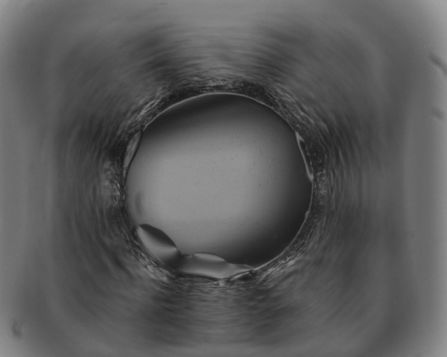 X0000091590916200708271240