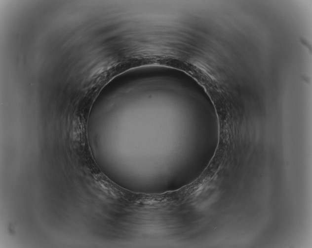 X0000091590917200708271240