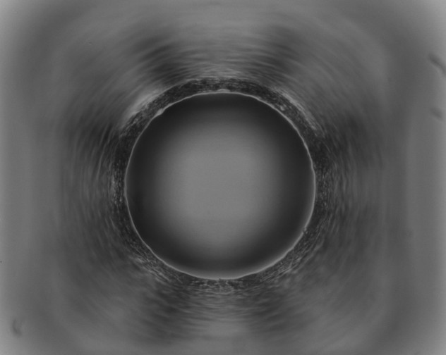 X0000091590919200708271240