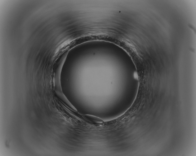 X0000091590920200708271240