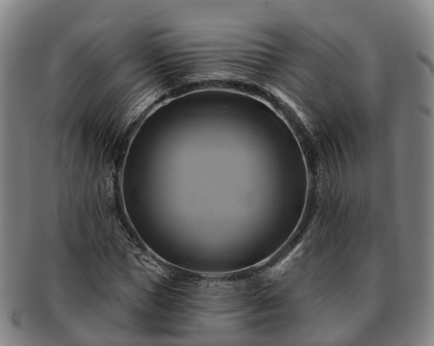X0000091590921200708271240