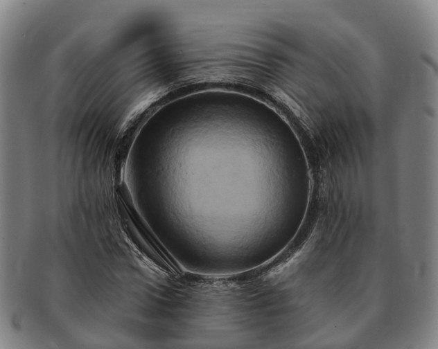 X0000091590922200708271240