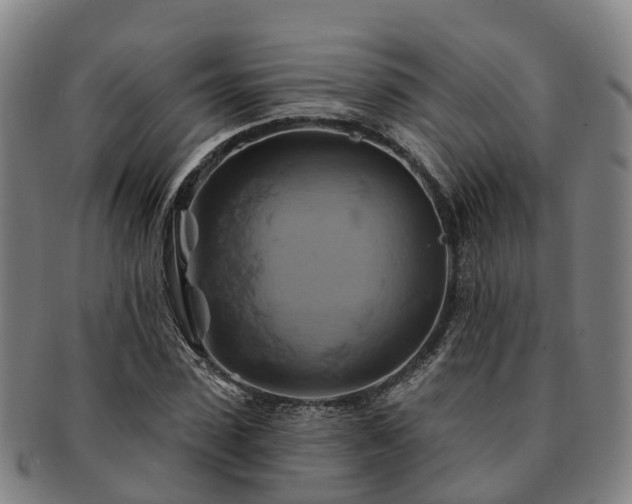 X0000091590923200708271240