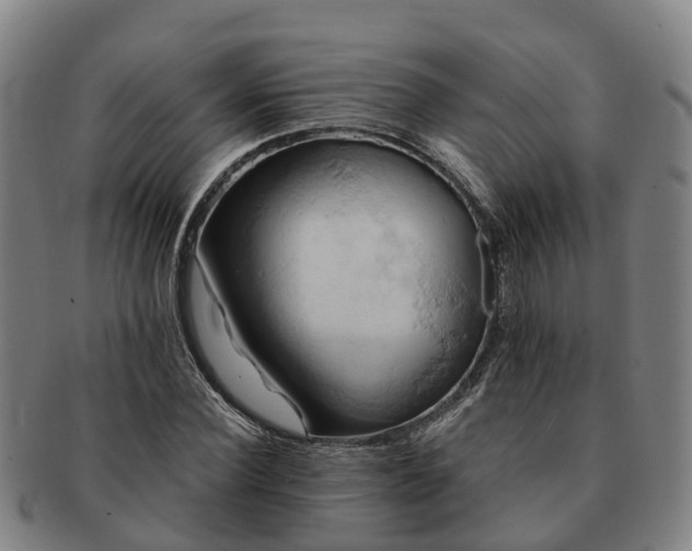 X0000091590924200708271240