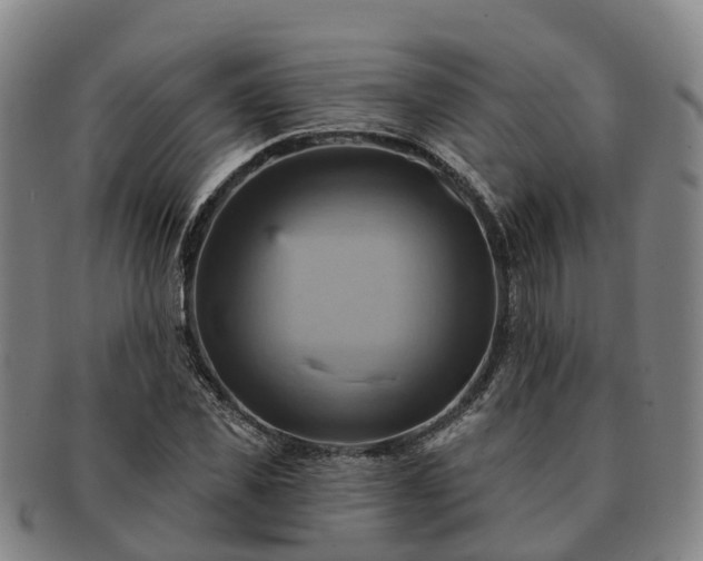 X0000091590925200708271240