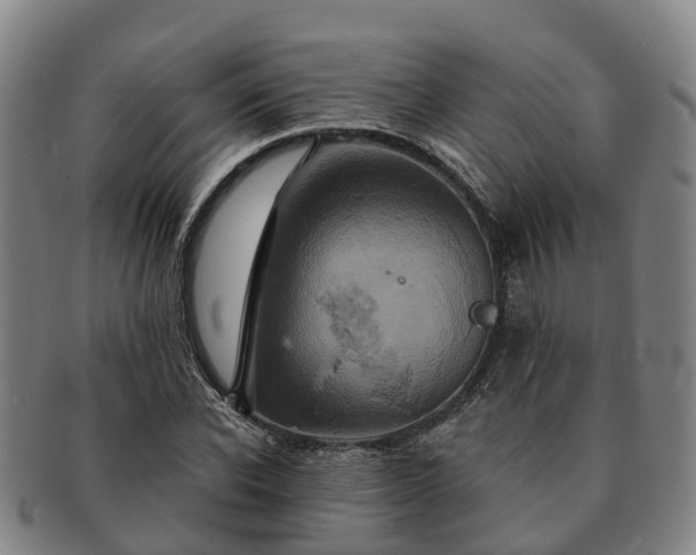 X0000091590926200708271240