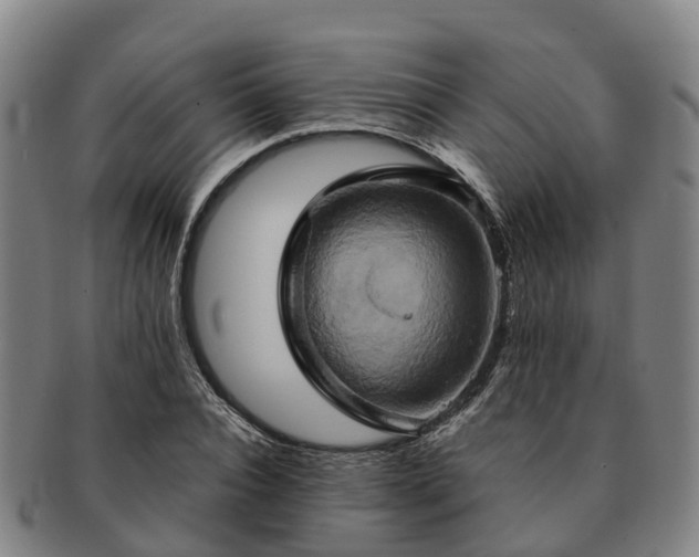 X0000091590928200708271240