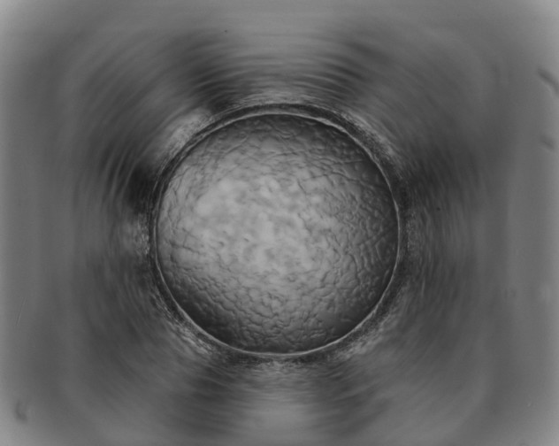 X0000091590929200708271240