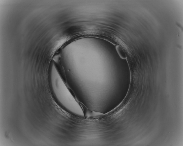 X0000091590930200708271240