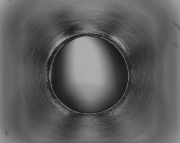 X0000091590931200708271240