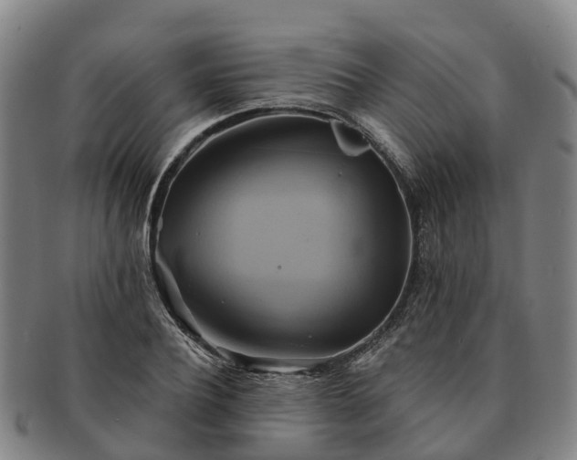 X0000091590932200708271240