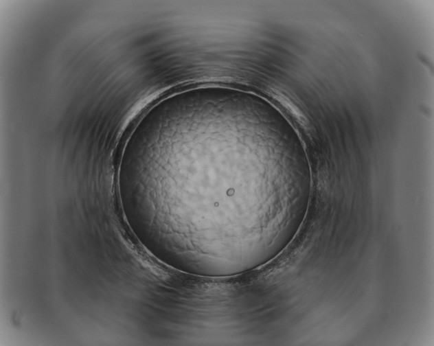 X0000091590933200708271240