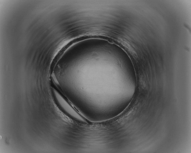 X0000091590934200708271240