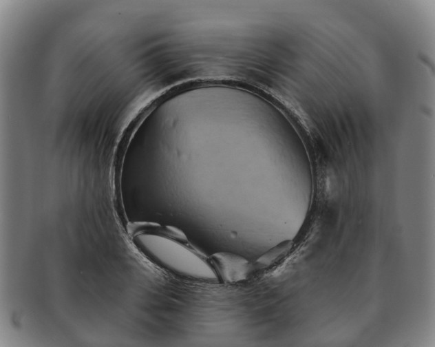 X0000091590935200708271240