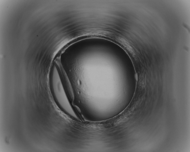 X0000091590936200708271240
