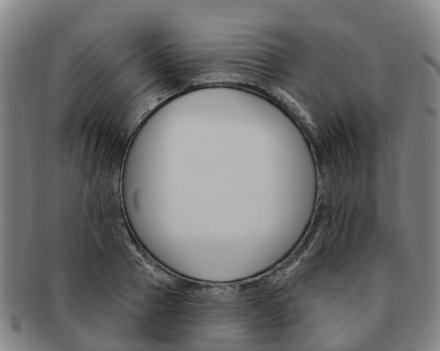 X0000091590937200708271240