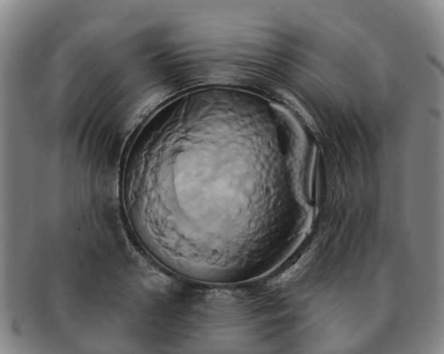 X0000091590938200708271240