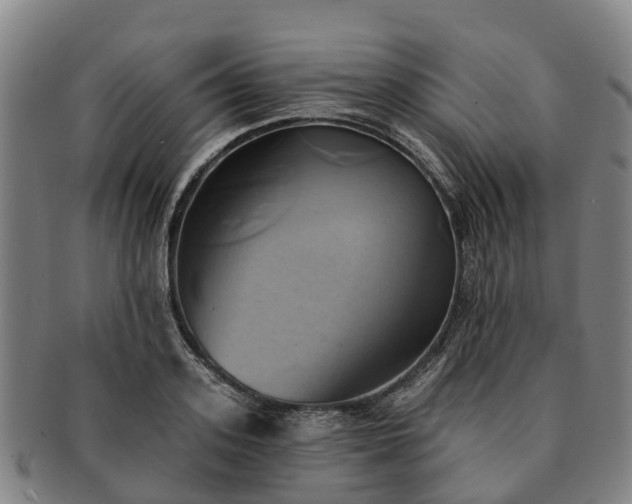 X0000091590939200708271240